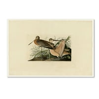 Търговска марка изобразително изкуство 'голям мраморен кръст 238' платно изкуство от Одюбон
