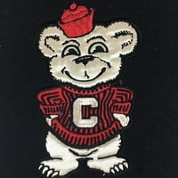 Cincinnati Bearcats NCAA Heritage Banner