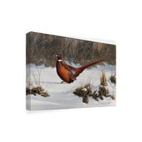 Търговска марка изобразително изкуство зимна разходка фазан платно Вилхелм Гьобел